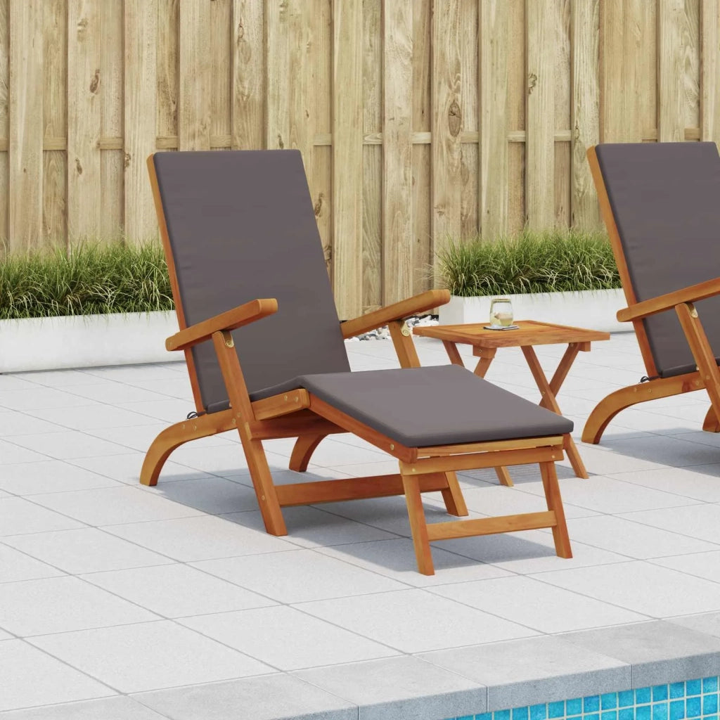 Lettino prendisole reclinabile e pieghevole 55 x 146 x 91 cm 42025002