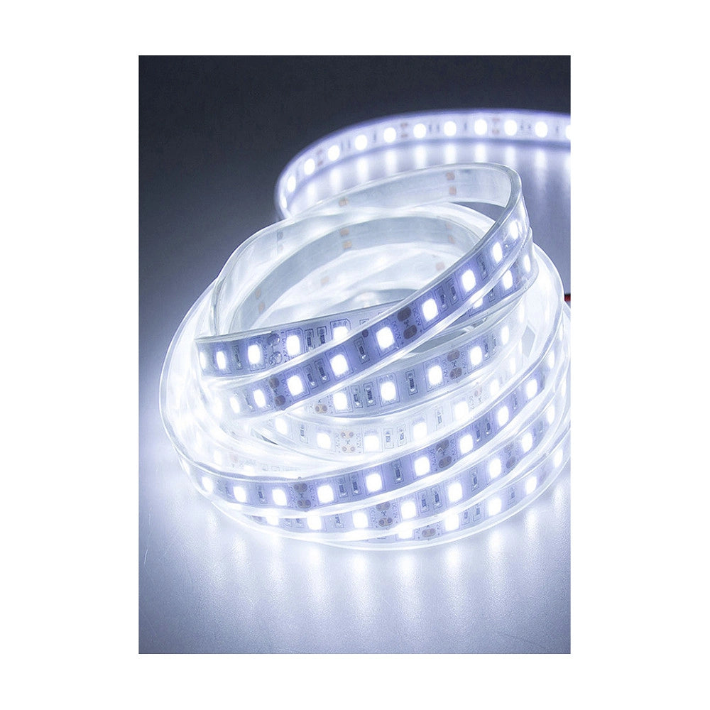 Trade Shop - Strisce Led Gommate 2835 144d 10mm 100mt 220v Vari Toni Di Colori Luce 2835smd - -bianco Freddo      -