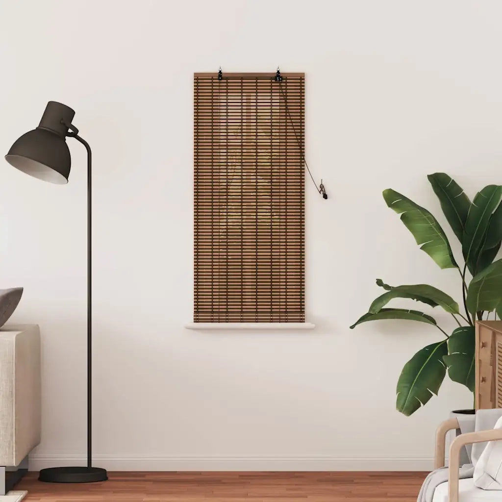 Tenda a rullo | Tenda avvolgibile con tende Marrone 60 x 160 cm Bamb¨´