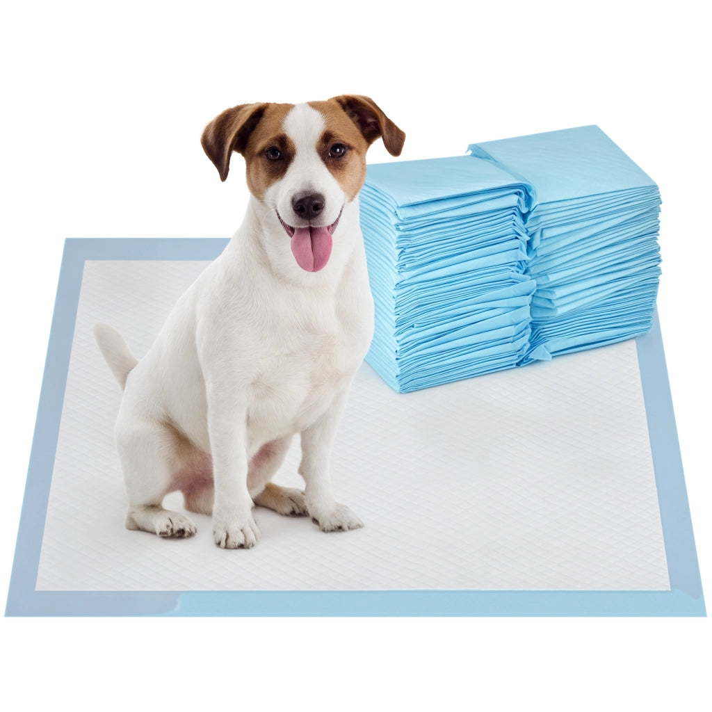 Tappetini Igienici per Cani ¨C Xylo ¨C 100 Pezzi 6 Strati 45x60cm Blu Bianco