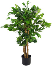 Pianta ornamentale con foglie, 90 cm, lanosa
