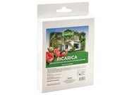 Esca Trappola Mosche Greenwall 25 g 12 Pezzi