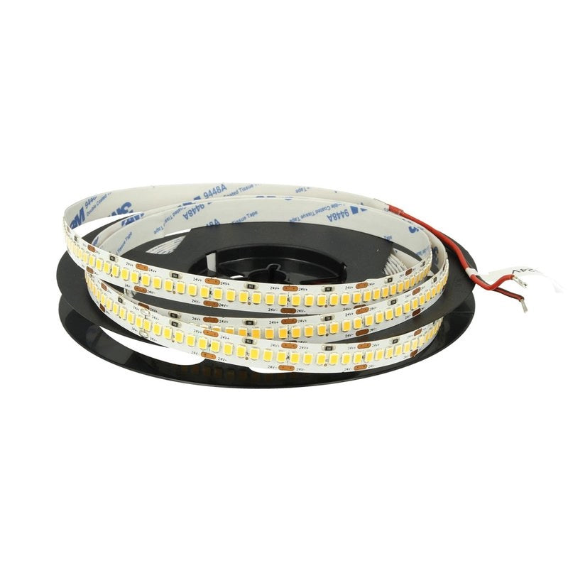 24V Bobina Striscia Led 20W/M Bianco Freddo 6000K 1200 Smd 2835 5 Metri IP20