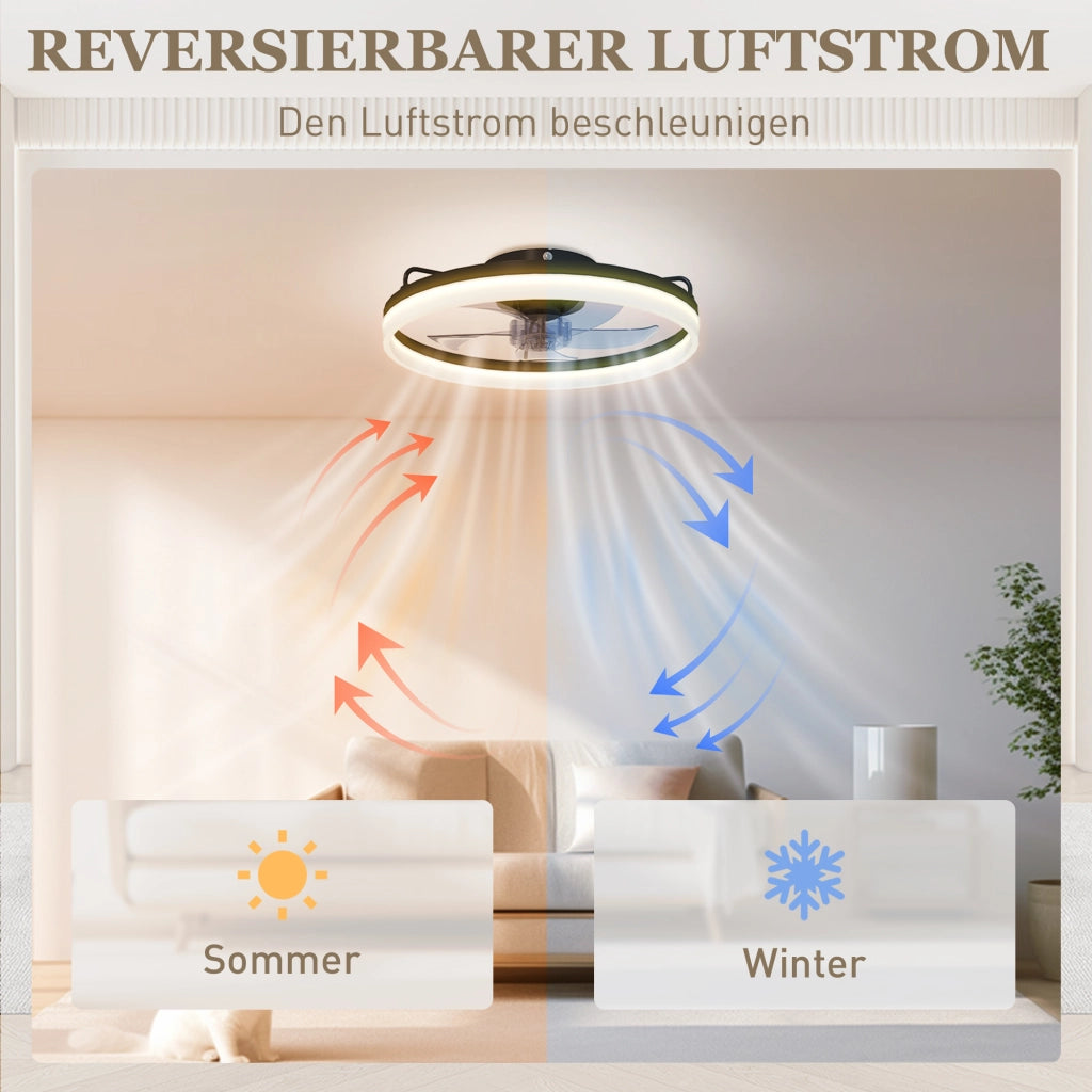 Ventilatore da Soffitto con Luce LED e Telecomando ¨C zephmum ¨C 50 cm, 3 Colori, 6 Velocit¨¤, Timer