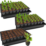 Piante da giardino in vaso - accessori per la coltivazione - 3 pezzi - verde