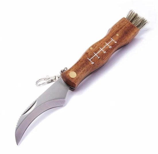 Panno per funghi portatile con spazzola - Panno per funghi mini - Opaco - Outdoor/Camping - Nero - M - Panno per funghi