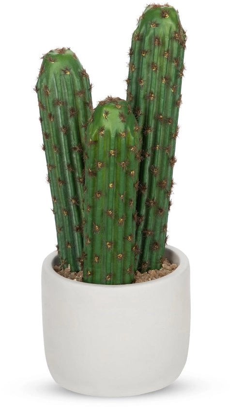 Pianta di Cactus Artificiale Piccola 25cm Nep Cactus in Vaso Cactus per Interni Esterni Decorazione Verde