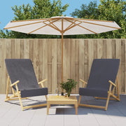 Asciugamani da Spiaggia 2 pz Antracite 60x135cm Tessuto 400 GSM 362673