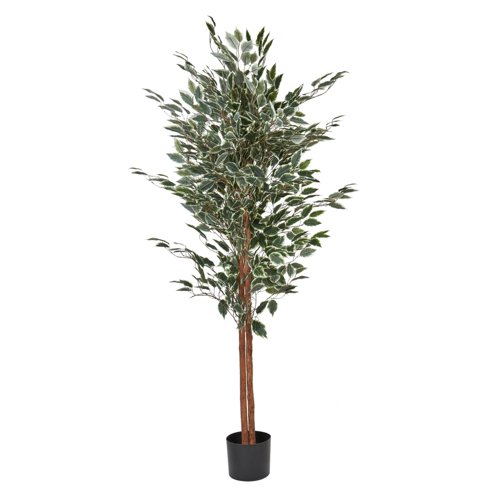 Pianta artificiale in vaso 167 cm decorazione interni ed esterni