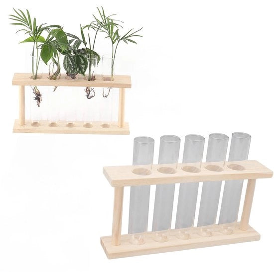 Collezioni per piante in vetro 5 pezzi - Stampa in legno - Colonna di reazione per terrarium - Decorazione per la casa - Vetro trasparente - 22 x 12,5 x 4,5 cm - Contenitore per piante