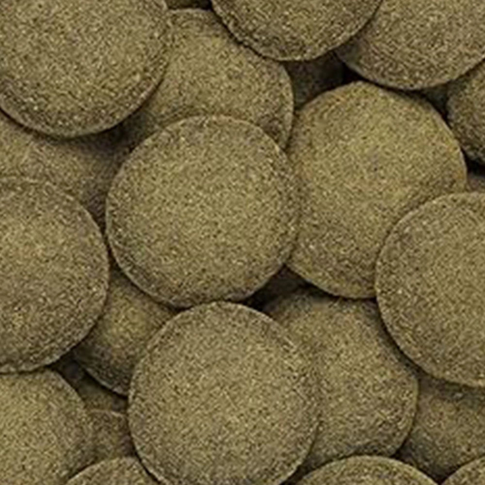 Hikari Tropical Algae Wafers – mangime per Plecostomus e altri mangiatori di alghe Formato: 82 gr