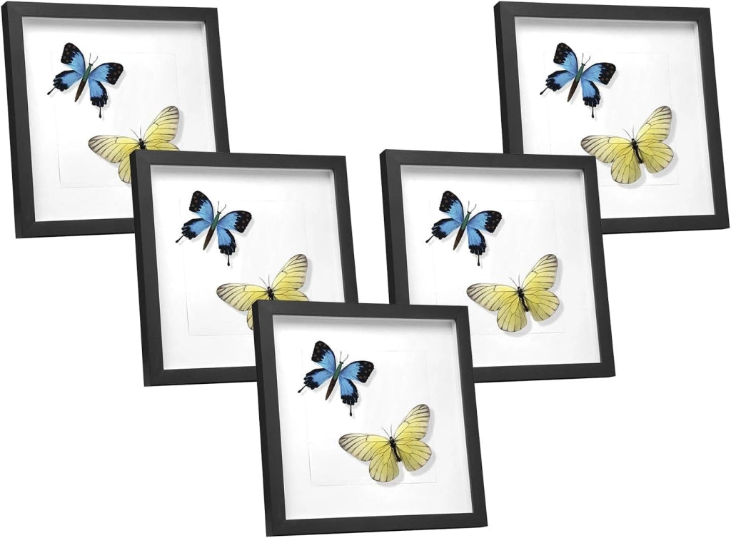 Set di 5 Cornice 3D per Foto da Muro Cornici 40x40cm per Oggetti Fino a 1,5cm, Cornici Fotografiche Multiple da Tavolo Portafoto Sospeso in Legno Passepartout Incluso, Nero