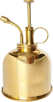Spray per Piante in Argento - 300 ml - Spray per Fiori Interni