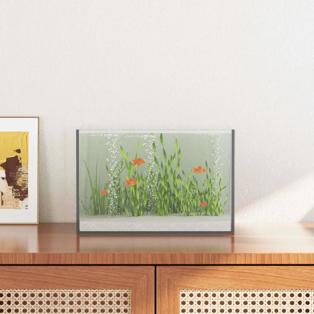Acquario con archiviazione Trasparente 30 x 20 x 20 cm Vetro