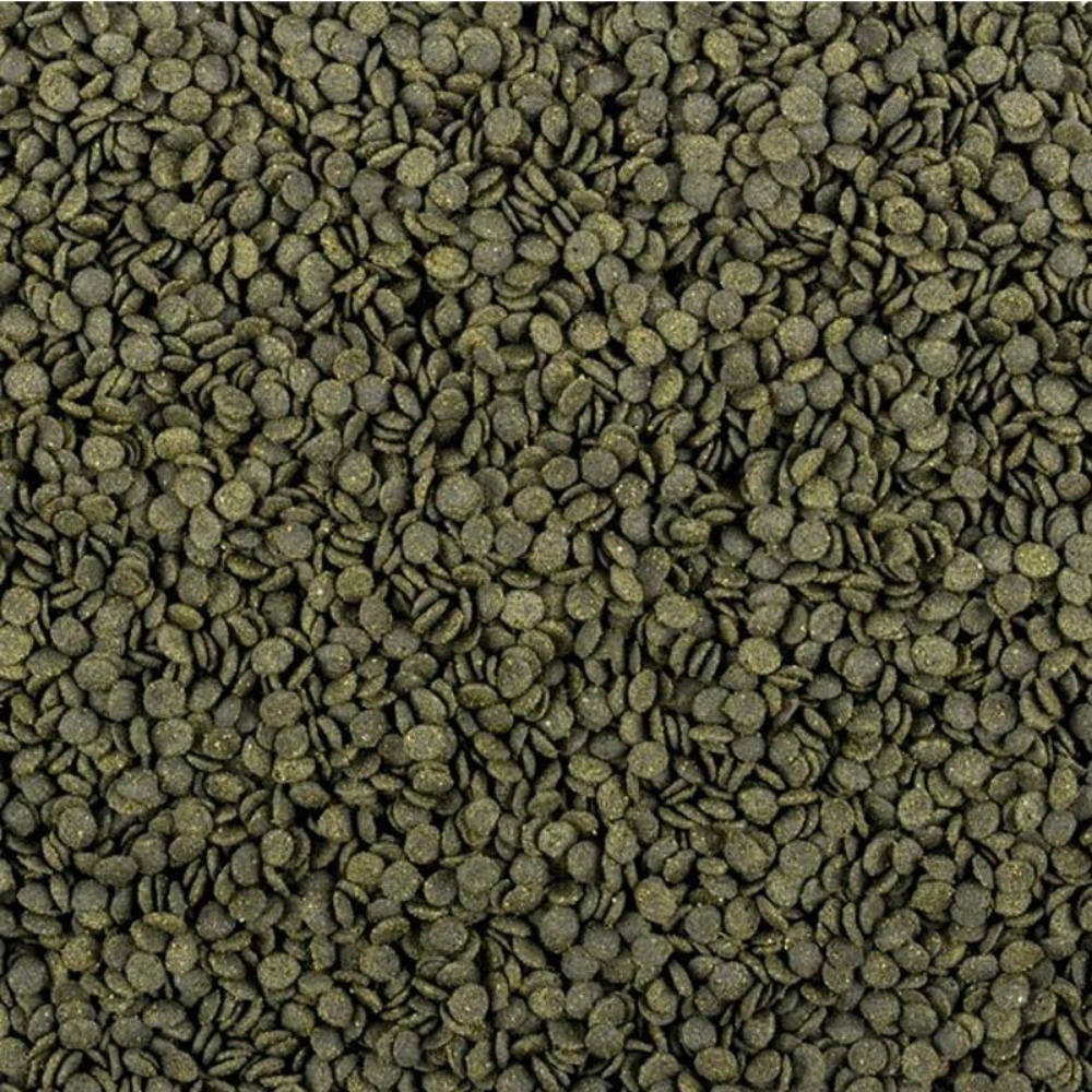 Tropical SoftLine Africa - Mangime per Pesci Africani Modello: Herbivore, Formato: 100 ml