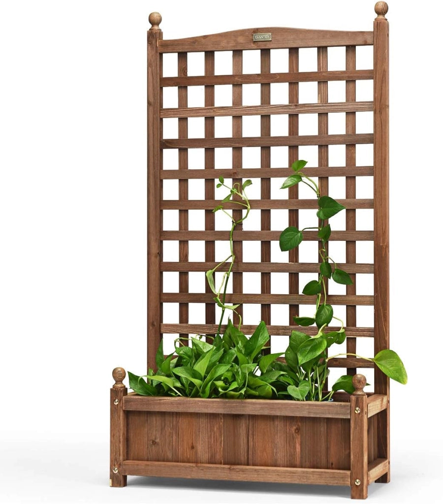 Fioriera in Legno Massiccio con Traliccio, Letto per Piante Rampicanti con Grigliato, Ruote Bloccabili e Foro di Drenaggio, Fioriera da Giardino, Terrazza e Cortile