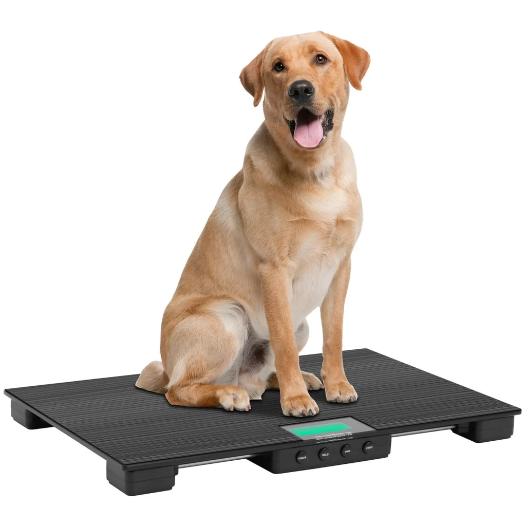 Bilancia veterinaria 30 kg / 0,01 kg 63 x 40 cm con tappetino antiscivolo e schermo LCD 14_0008390