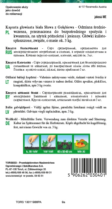 Cavolo cappuccio bianco Sława z Gołębiewo 2g