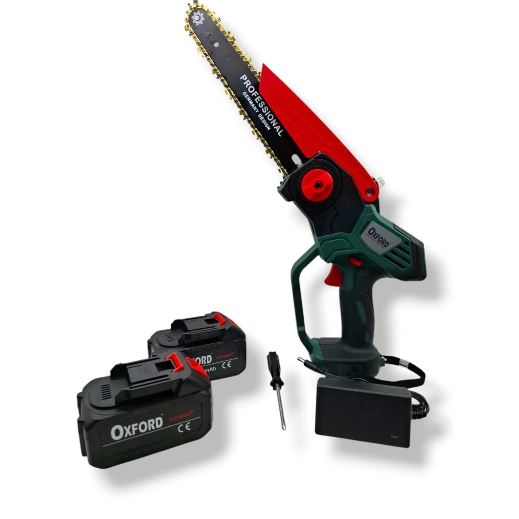 motosega a batteria lubrificata barra da 8" due batterie 21V reali elettrosega