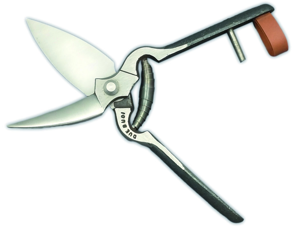 2 Buoi FORBICI DA VIGNA 134/25 LUCIDA con battente cm. 25