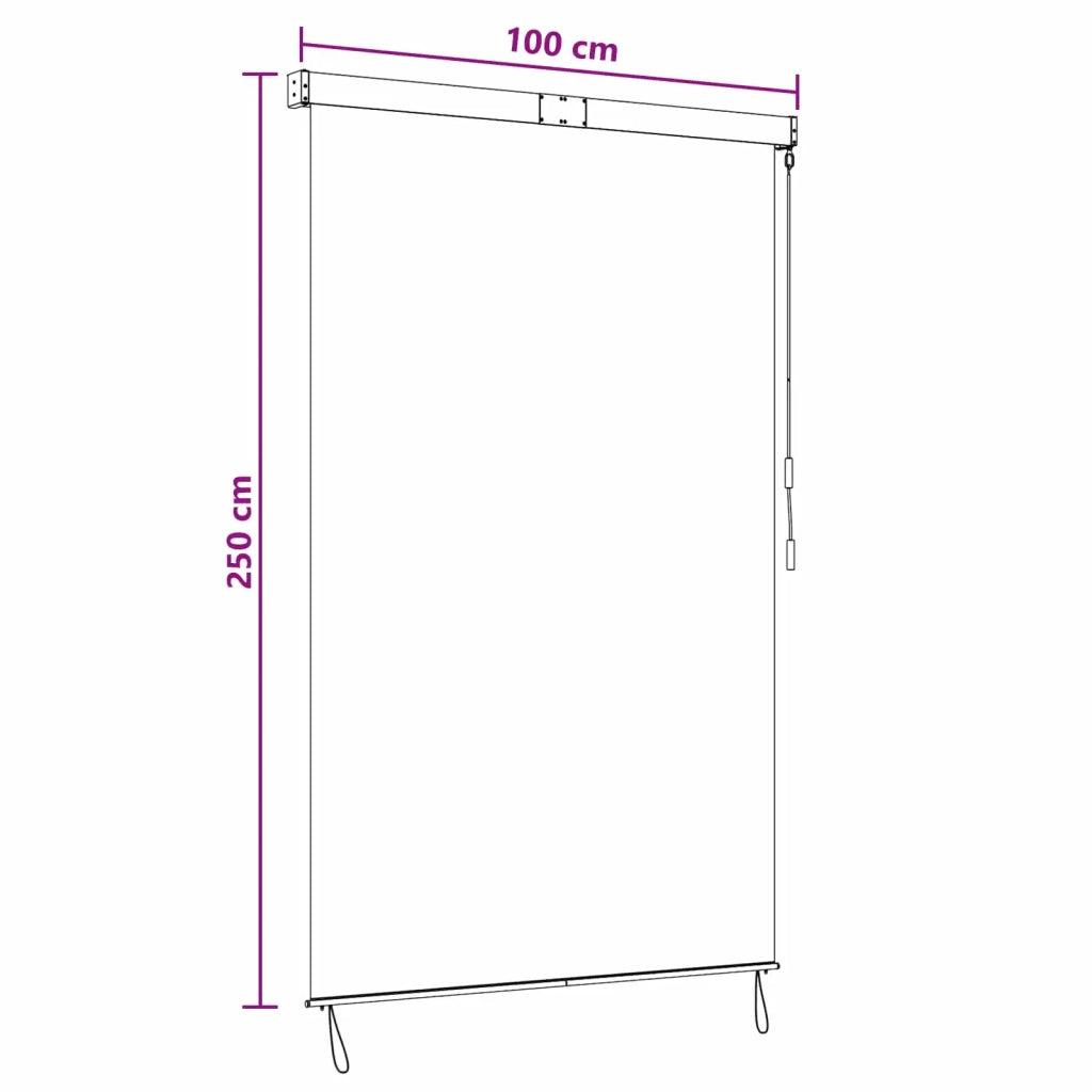 Tenda a rullo Marrone 100 x 250 cm Tessuto e Alluminio 42037178