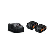 FEIN 92604246010 Starter Set Batteria e Caricabatterie 18 V 5.0 Ah 2 Pezzi Nero