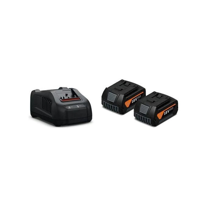 FEIN 92604246010 Starter Set Batteria e Caricabatterie 18 V 5.0 Ah 2 Pezzi Nero