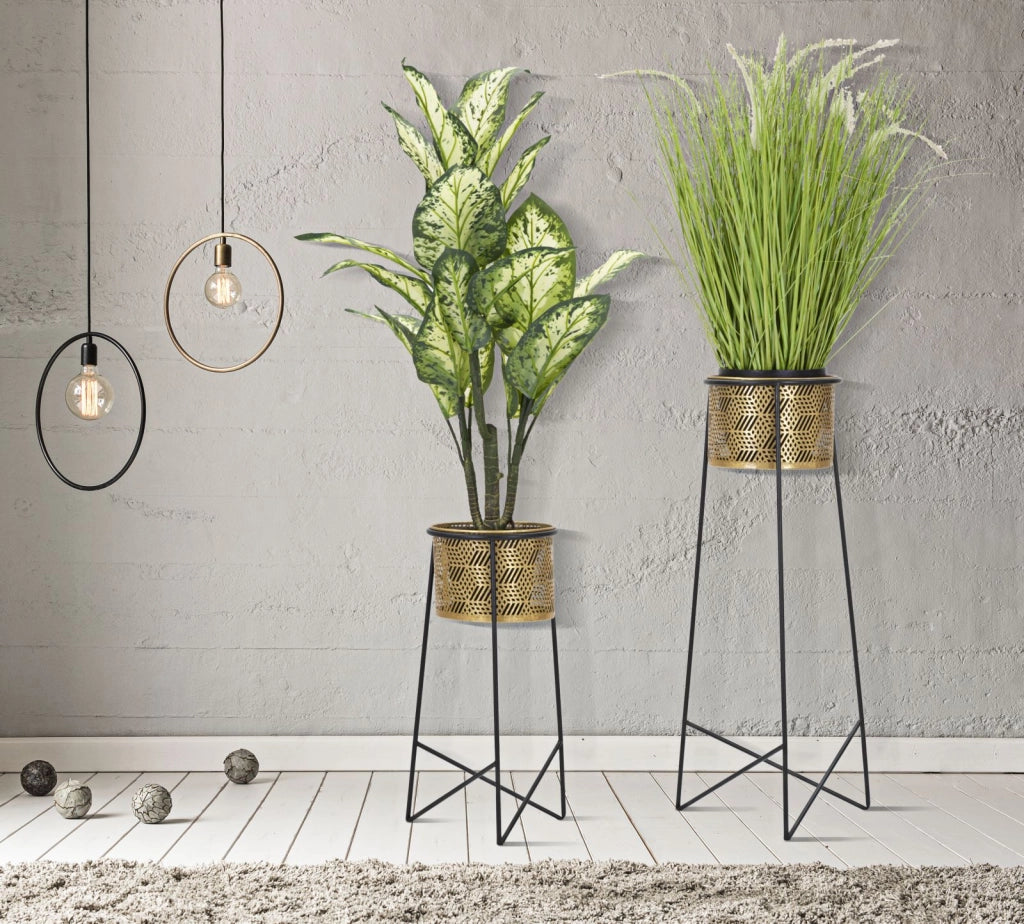 P/VASI COPPIA EXY CM � 37X76-27X51