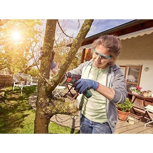 Bosch SEGA A CATENA EASYCUT 12V 2,5AH