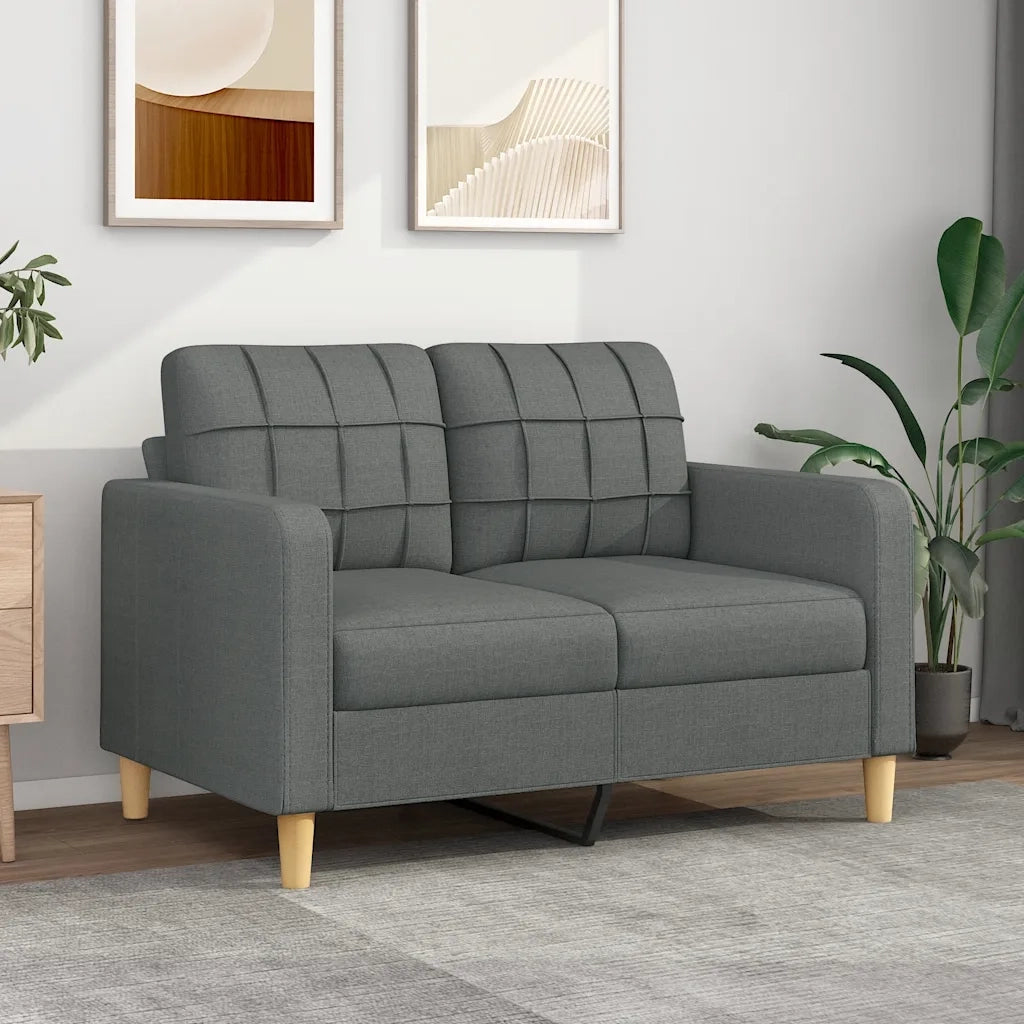 Divano | Divano da soggiorno | Sofa a 2 Posti Grigio Scuro 120 cm in Tessuto