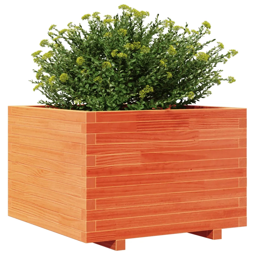 Fioriera Giardino Marrone Cera 70x70x49,5cm Legno Massello Pino 847365