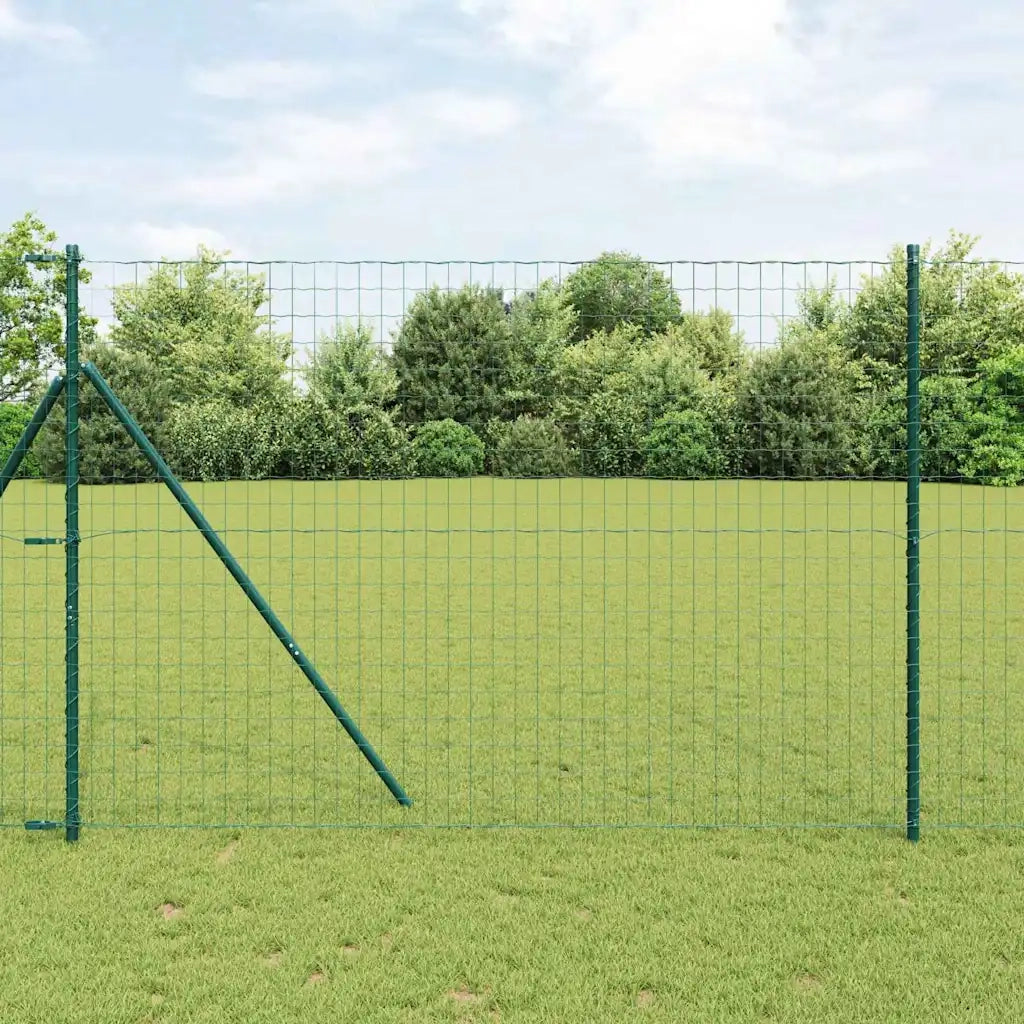Recinzione Euro Verde 1,6 x 10 m Ferro rivestito in PVC 42004457