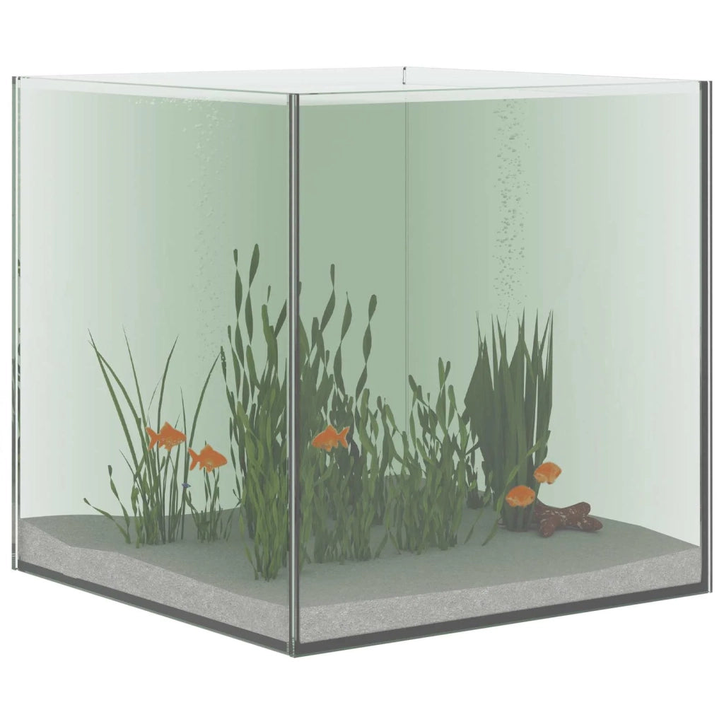 Acquario con archiviazione Trasparente 30 x 30 x 30 cm Vetro 42020380