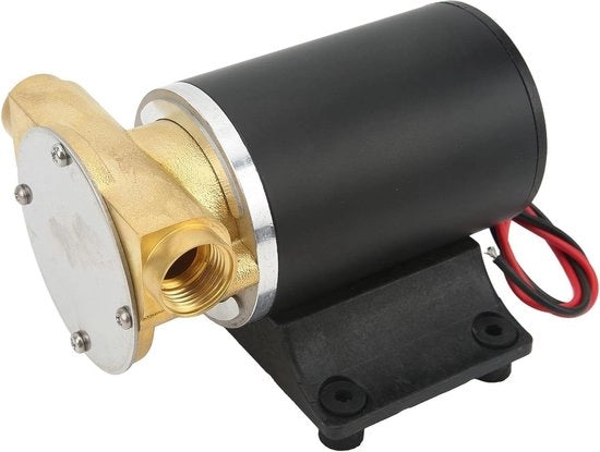 Waaier lenspomp auto 12V 6GPM con motore magnetico permanente per trasferimento acqua di mare.