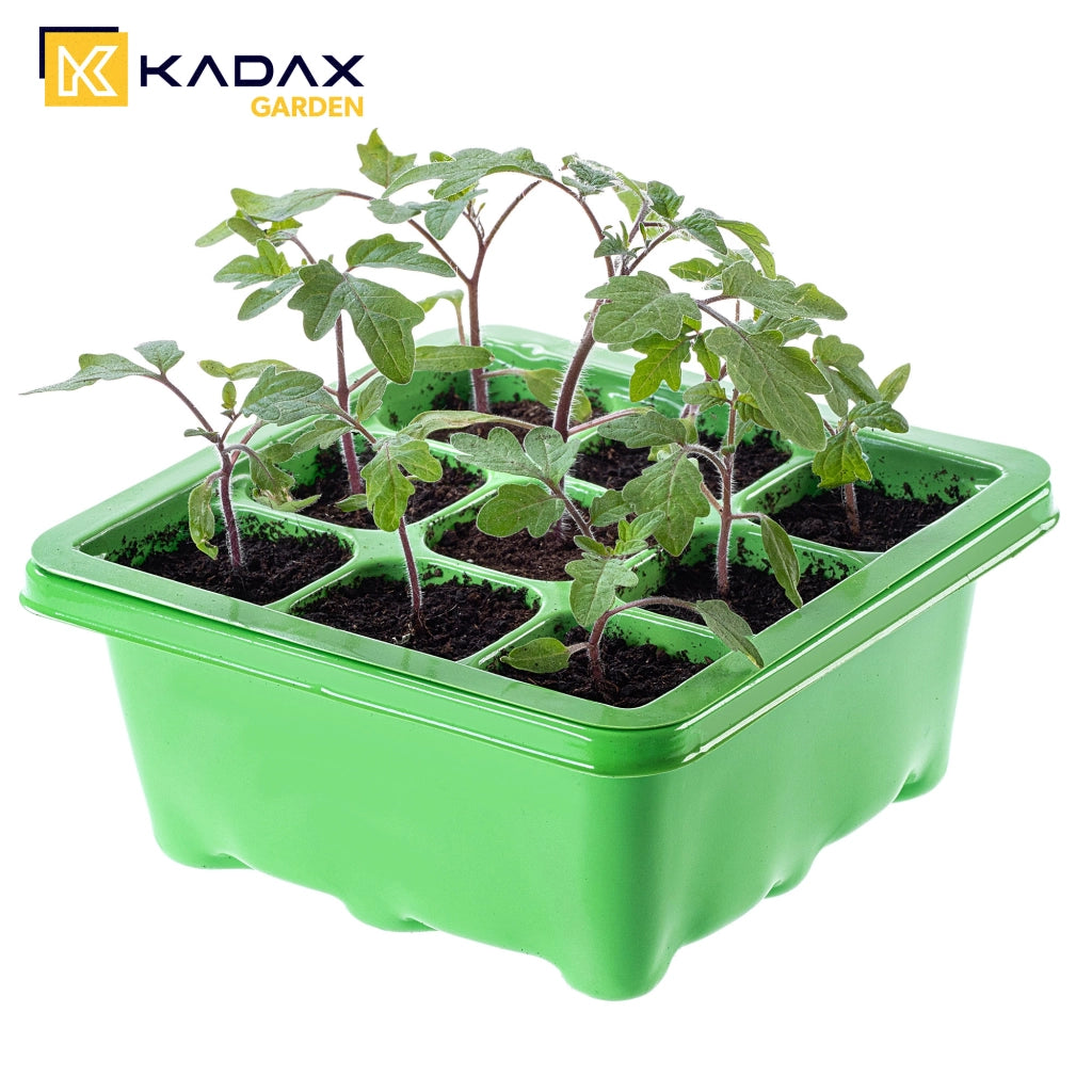 Mini serra KADAX Mini serra Serra Serra 9 celle Vassoio per semina
