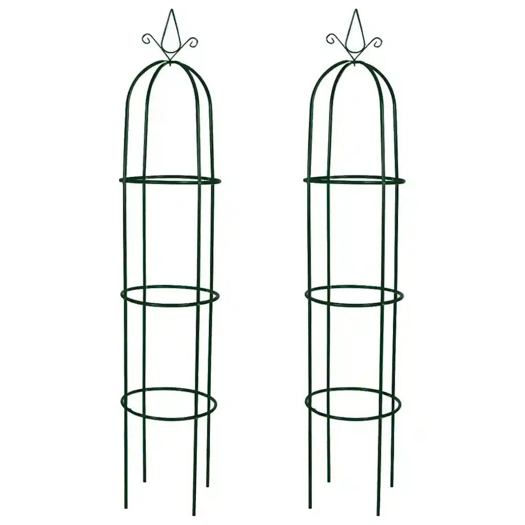 Set Torri ad Arco 2 pz per Piante Rampicanti da Giardino CFW2461839