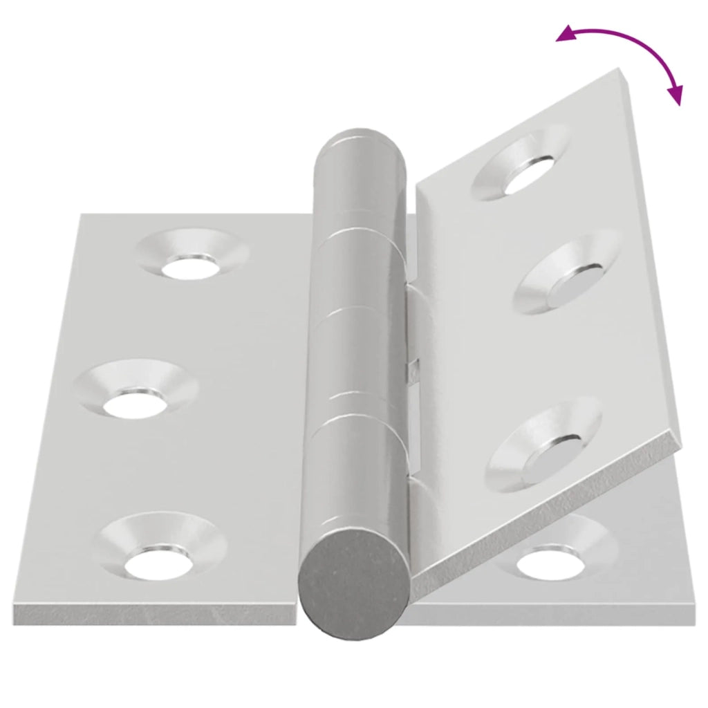 Cerniera 2 pz Argento 50 x 38 x 1,3 mm Acciaio CFW1637010