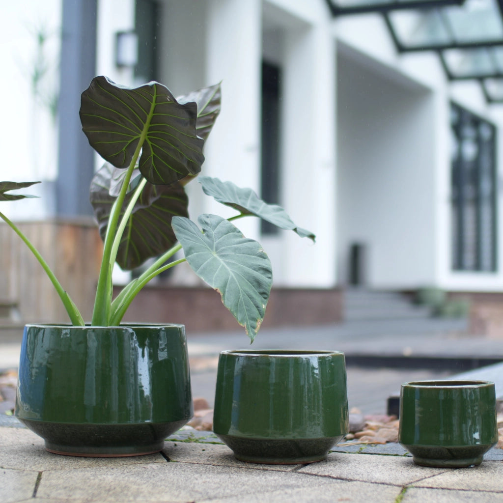 Fioriera in ceramica smaltata verde antico con foro di drenaggio per interno ed esterno, 1 pezzo