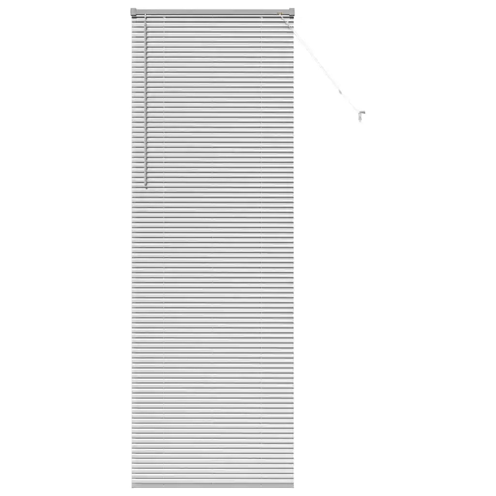 Tendaggi a Veneziana | Tenda a lamelle Argento 220 x 75 cm Alluminio