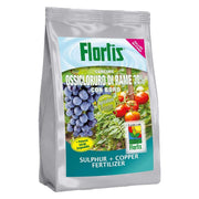 CONCIME OSSICLORURO DI RAME 30% KG 1