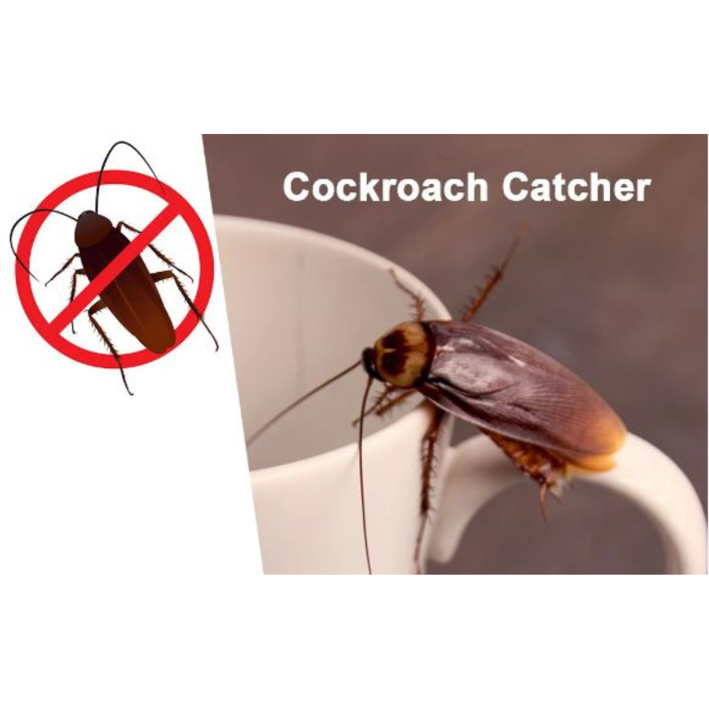 Trappola scarafaggi blister blatte esca insetticida casa fessure nido ekostop