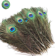 Piume di Pavo Naturale 20 pezzi 25-30 cm per Artigianato, Abbigliamento, Cappelli