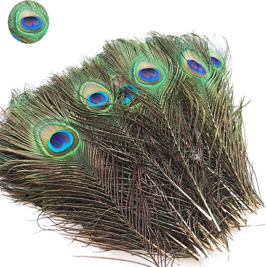Piume di Pavo Naturale 20 pezzi 25-30 cm per Artigianato, Abbigliamento, Cappelli