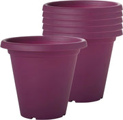 Piatto per piante in plastica 6 x 19 cm Pianta all'aperto o all'interno con fori di drenaggio Piatto leggero e impermeabile per fiori e piante Ideale per giardino, terrazza e patio
