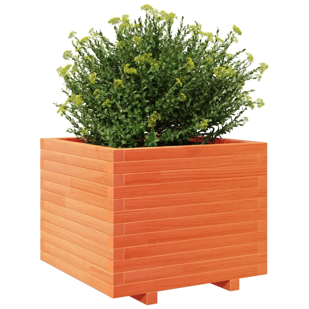 Fioriera Giardino Marrone Cera 60x60x49,5cm Legno Massello Pino