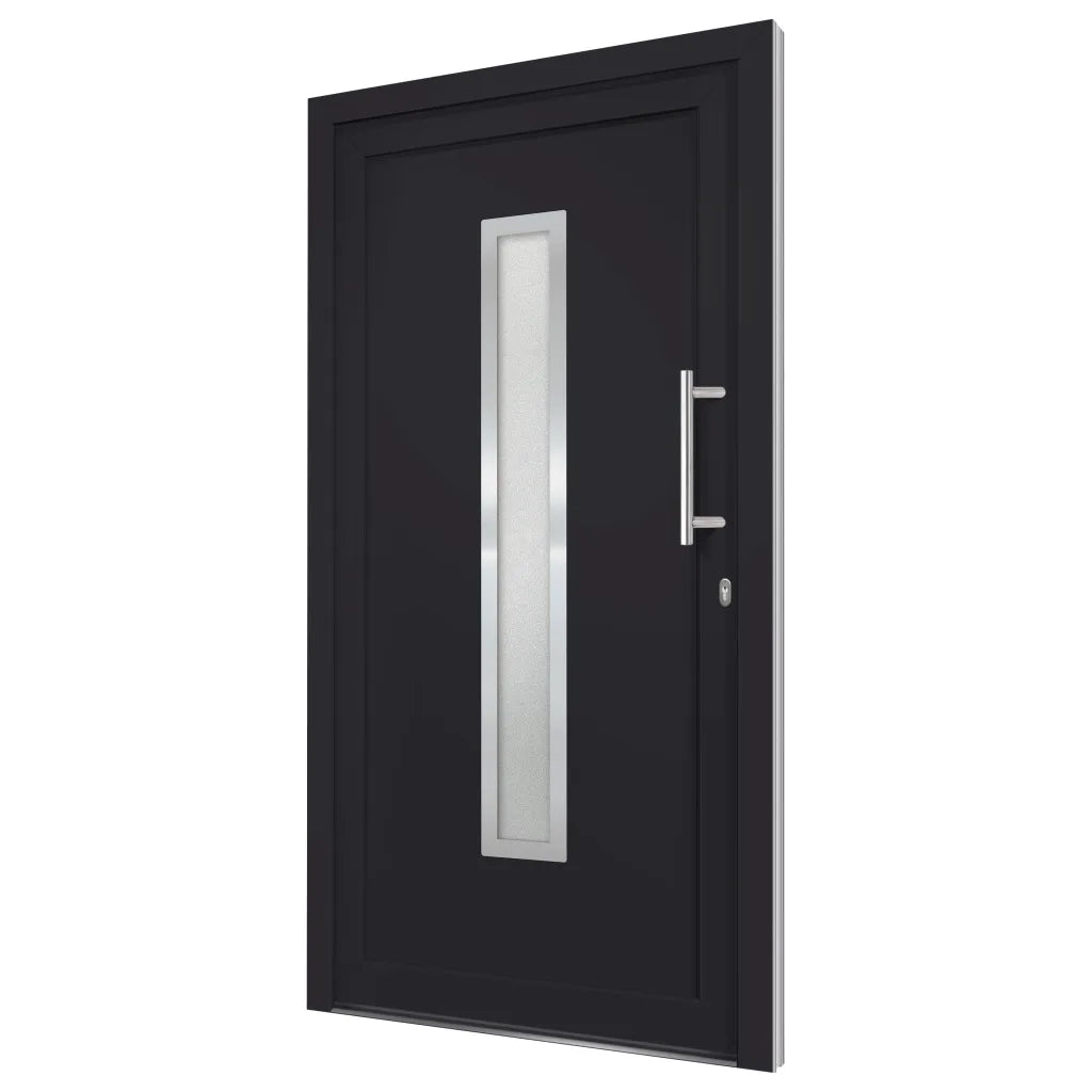 Porta di Ingresso Antracite 98x208 cm 279244