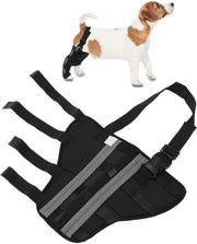 Sostegno ginocchiale - Supporto ginocchi - Ginocchiere - Protezione articolare - Dampening shock - Sicurezza - M, Nero - Ginocchiere per cani