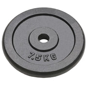 Dischi per Pesi 4 pz 4x7,5 kg in Ghisa CFW2495684