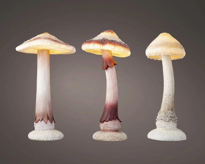 Fungo Pls Assortite A Batteria - Luce LED Fissa - 3 Colori - Dimensioni 50x55x88cm, 47x53x88cm, 35x35x84cm