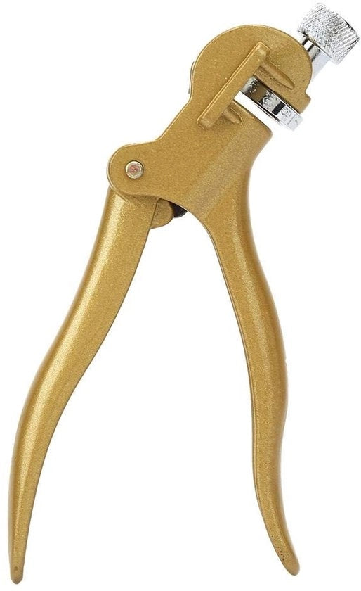 Accessori DIY di alta qualità per la lavorazione del legno - Robusti e resistenti - Ideali per ogni progetto - Incluso zoccolo.
